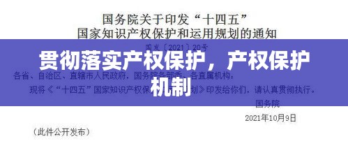貫徹落實(shí)產(chǎn)權(quán)保護(hù)，產(chǎn)權(quán)保護(hù)機(jī)制 
