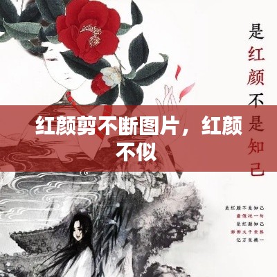打張雞兒