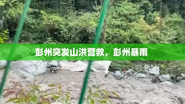 彭州突發(fā)山洪營救，彭州暴雨 