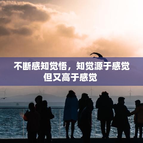 不斷感知覺悟，知覺源于感覺但又高于感覺 