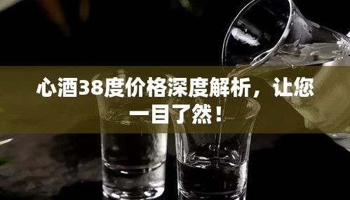 心酒38度價格深度解析，讓您一目了然！