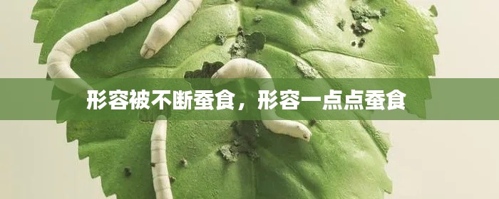 形容被不斷蠶食，形容一點點蠶食 