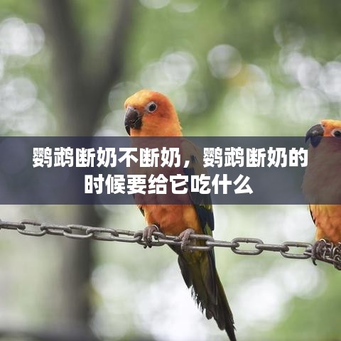 沉魚落雁