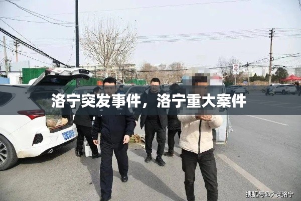 洛寧突發(fā)事件，洛寧重大案件 