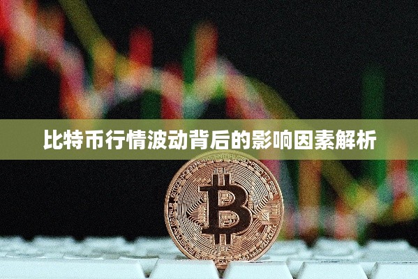 比特幣行情波動(dòng)背后的影響因素解析