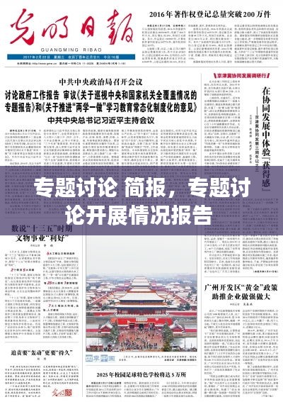專題討論 簡報，專題討論開展情況報告 