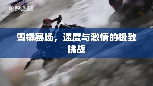 雪橇賽場，速度與激情的極致挑戰(zhàn)
