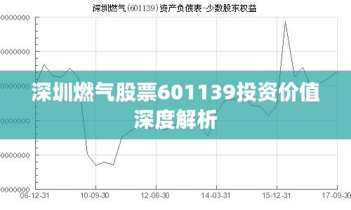 深圳燃氣股票601139投資價值深度解析