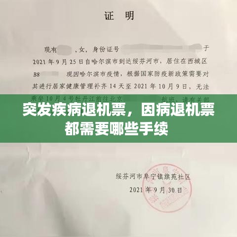 突發(fā)疾病退機(jī)票，因病退機(jī)票都需要哪些手續(xù) 
