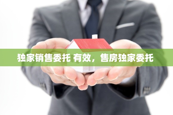 獨家銷售委托 有效，售房獨家委托 