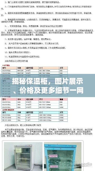 揭秘保溫柜，圖片展示、價(jià)格及更多細(xì)節(jié)一網(wǎng)打盡！