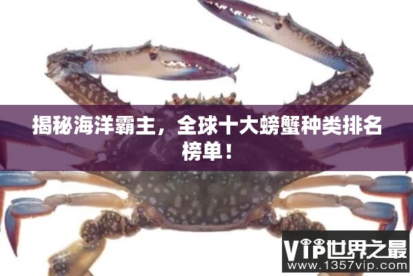 yanzhangshidao