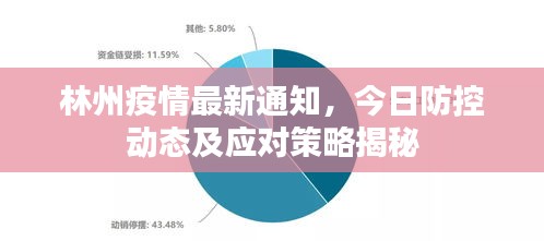 林州疫情最新通知，今日防控動態(tài)及應(yīng)對策略揭秘