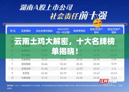 云南土雞大解密，十大名牌榜單揭曉！