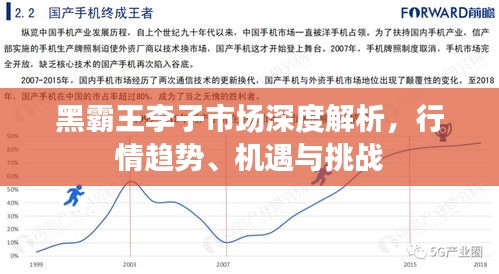 黑霸王李子市場深度解析，行情趨勢、機(jī)遇與挑戰(zhàn)