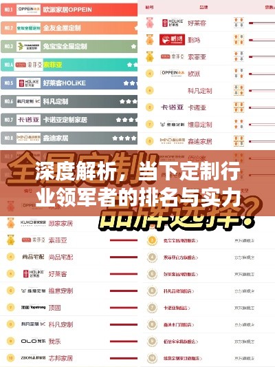 深度解析，當(dāng)下定制行業(yè)領(lǐng)軍者的排名與實(shí)力比拼！