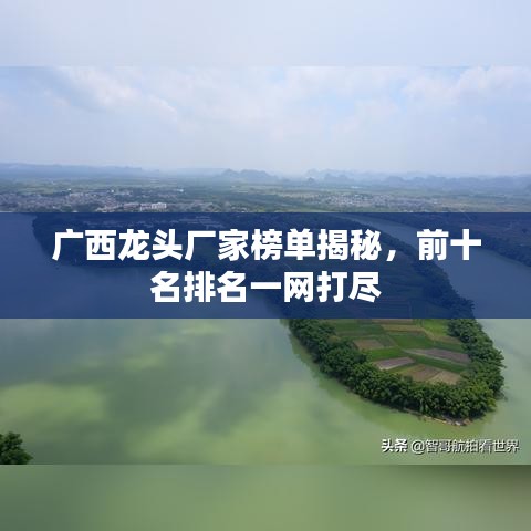 廣西龍頭廠家榜單揭秘，前十名排名一網(wǎng)打盡