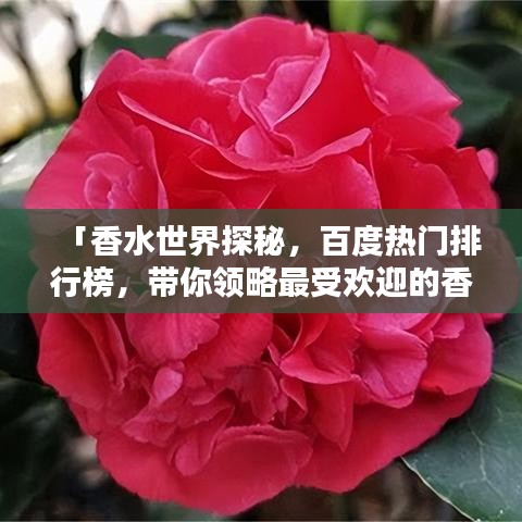 「香水世界探秘，百度熱門排行榜，帶你領(lǐng)略最受歡迎的香水香氣」