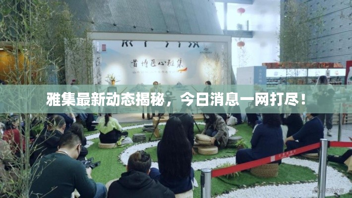 雅集最新動(dòng)態(tài)揭秘，今日消息一網(wǎng)打盡！