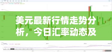 美元最新行情走勢分析，今日匯率動態(tài)及市場解讀