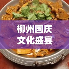 柳州國慶文化盛宴，城市歡慶佳節(jié)，活力四溢繁榮新篇章
