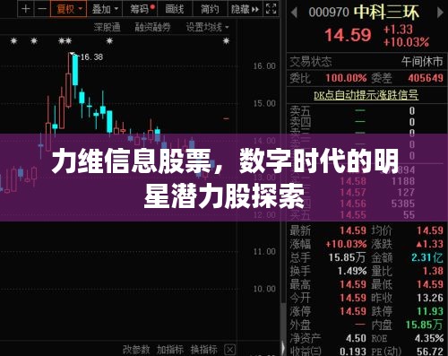 力維信息股票，數(shù)字時(shí)代的明星潛力股探索