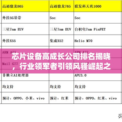 芯片設備高成長公司排名揭曉，行業(yè)領軍者引領風騷崛起之路揭秘