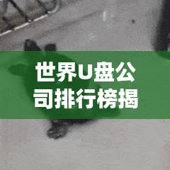 世界U盤公司排行榜揭曉，行業(yè)巨頭一覽無余！