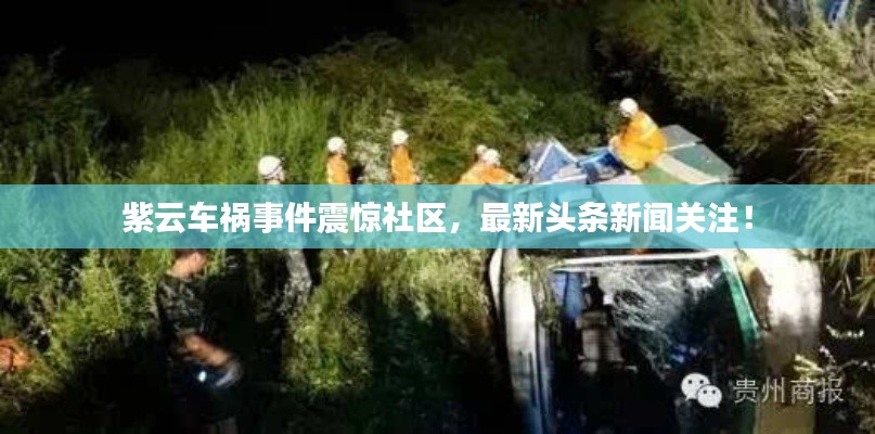 紫云車(chē)禍?zhǔn)录痼@社區(qū)，最新頭條新聞關(guān)注！