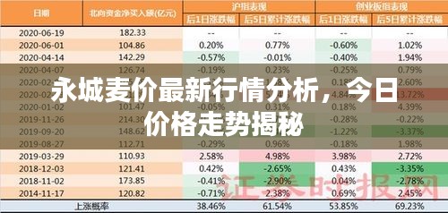 永城麥價(jià)最新行情分析，今日價(jià)格走勢(shì)揭秘