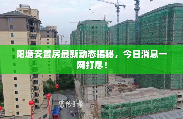 陽塘安置房最新動態(tài)揭秘，今日消息一網(wǎng)打盡！