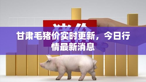 甘肅毛豬價(jià)實(shí)時(shí)更新，今日行情最新消息