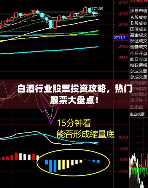 白酒行業(yè)股票投資攻略，熱門股票大盤點！