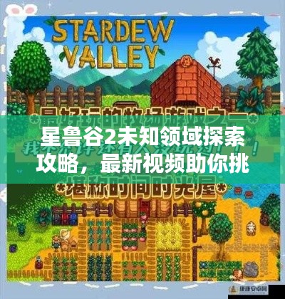 星魯谷2未知領(lǐng)域探索攻略，最新視頻助你挑戰(zhàn)極限！