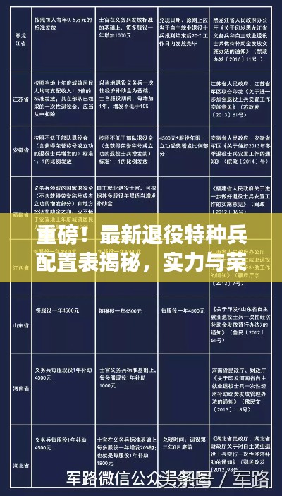重磅！最新退役特種兵配置表揭秘，實力與榮耀并存