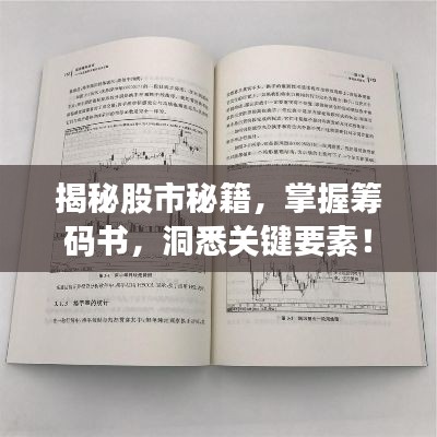 揭秘股市秘籍，掌握籌碼書，洞悉關(guān)鍵要素！