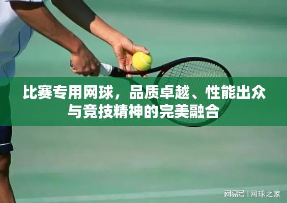 比賽專用網(wǎng)球，品質(zhì)卓越、性能出眾與競(jìng)技精神的完美融合