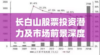 長白山股票投資潛力及市場前景深度解析