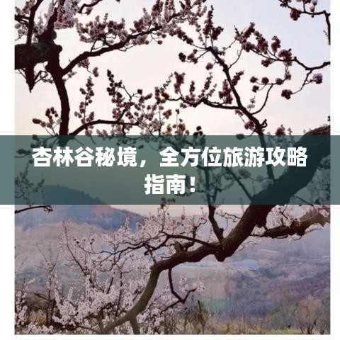 杏林谷秘境，全方位旅游攻略指南！
