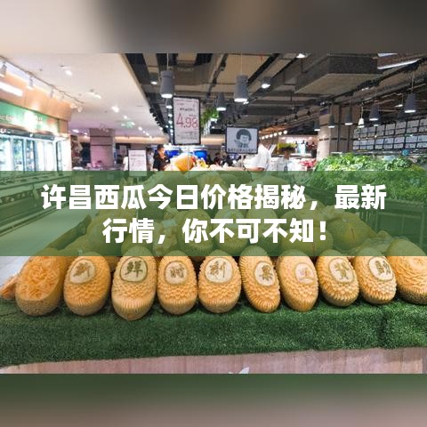 許昌西瓜今日價格揭秘，最新行情，你不可不知！