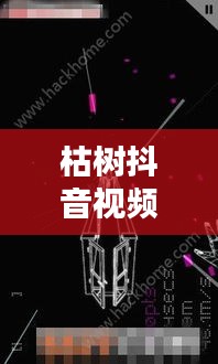 枯樹(shù)抖音視頻，探索最新版視頻世界，體驗(yàn)獨(dú)特魅力