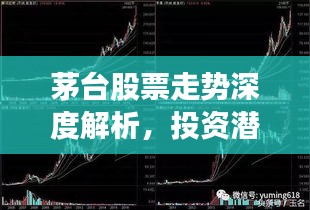 茅臺股票走勢深度解析，投資潛力與風(fēng)險(xiǎn)洞察
