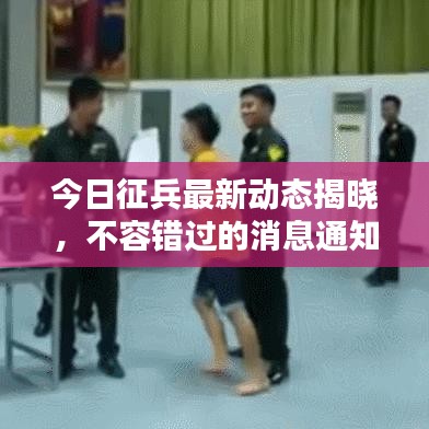 今日征兵最新動態(tài)揭曉，不容錯過的消息通知！