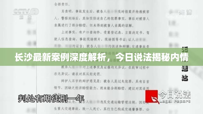 長(zhǎng)沙最新案例深度解析，今日說(shuō)法揭秘內(nèi)情