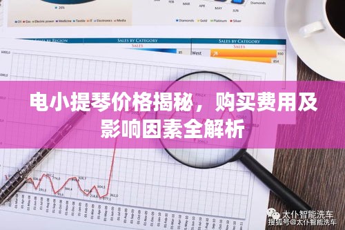 電小提琴價格揭秘，購買費用及影響因素全解析