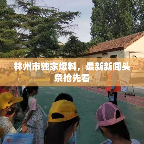 林州市獨家爆料，最新新聞頭條搶先看