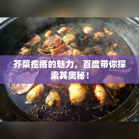 芥菜疙瘩的魅力，百度帶你探索其奧秘！