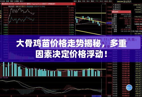 大骨雞苗價(jià)格走勢揭秘，多重因素決定價(jià)格浮動(dòng)！