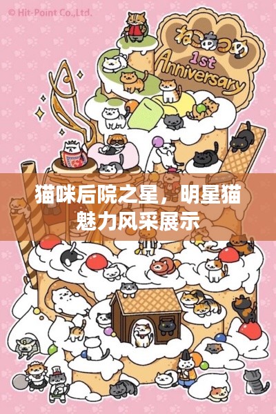 貓咪后院之星，明星貓魅力風(fēng)采展示