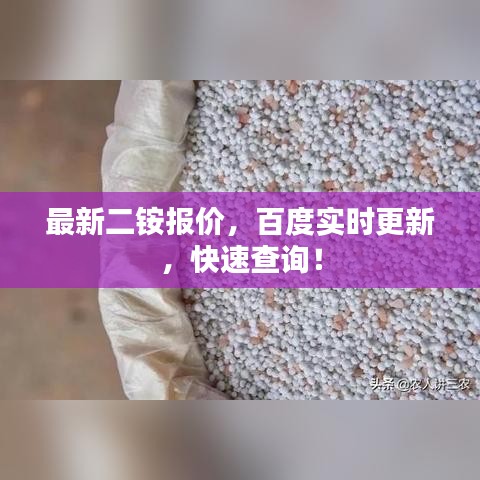 最新二銨報(bào)價(jià)，百度實(shí)時(shí)更新，快速查詢！